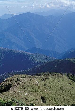 Stock Image - Blue Sky, Day, Environment, Field, Grass. Fotosearch