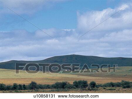 Stock Image - Blue Sky, Day, Environment, Field, Grass. Fotosearch