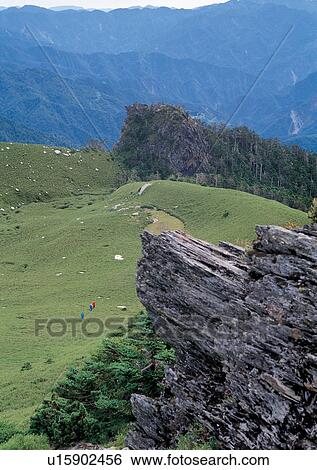 Blue Sky, Day, Environment, Field, Grass View Large Photo Image Stock Photograph - Blue Sky, Day, Environment, Field, Grass. Fotosearch