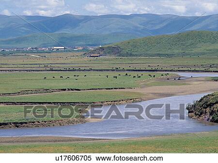 Stock Photography - Blue Sky, Day, Environment, Field, Grass. Fotosearch