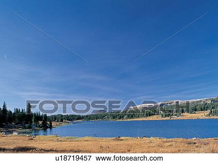 Blue Sky, Day, Environment, Grass, Habitat View Large Photo Image Stock Photo - Blue Sky, Day, Environment, Grass, Habitat. Fotosearch