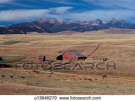 Stock Image - Blue Sky, Day, Environment, Habitat. Fotosearch