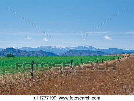 Stock Photo - Blue Sky, Farming, Environment, Day, Agriculture. Fotosearch