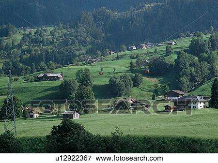Stock Photo - Community, Day, Environment, Field, Grass. Fotosearch