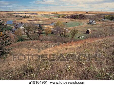 Stock Image - Day, Environment, Field, Grass, Habitat. Fotosearch