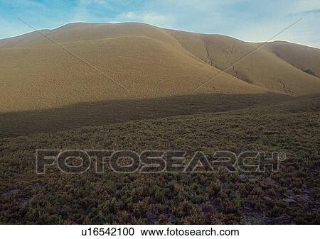 Day, Environment, Field, Grass, Habitat View Large Photo Image Stock Image - Day, Environment, Field, Grass, Habitat. Fotosearch