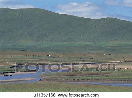 Stock Photo - Day, Environment, Field, Grass, Habitat. Fotosearch