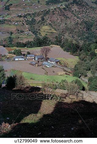Stock Photo - Day, Environment, Field, Grass, Habitat. Fotosearch