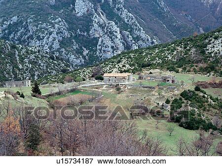 Stock Photo - Day, Environment, Field, Grass, Habitat. Fotosearch