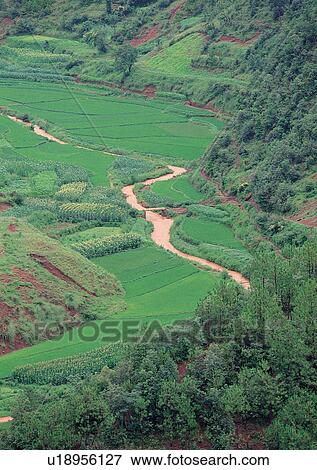 Day, Environment, Field, Grass, Habitat View Large Photo Image Stock Photo - Day, Environment, Field, Grass, Habitat. Fotosearch