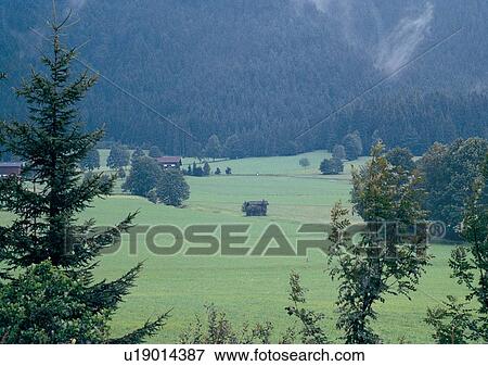 Stock Photo - Day, Environment, Field, Grass, Habitat. Fotosearch
