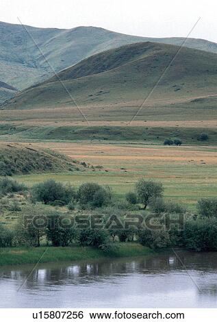 Stock Photograph - Day, Environment, Field, Grass, Habitat. Fotosearch