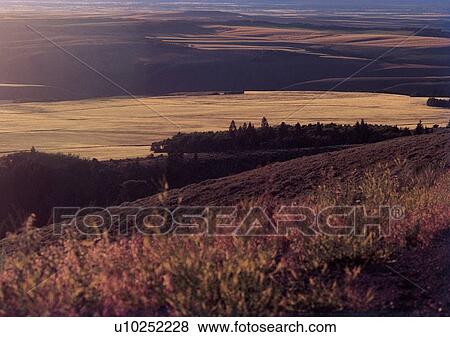 Stock Photo - Day, Environment, Habitat, Landscape. Fotosearch