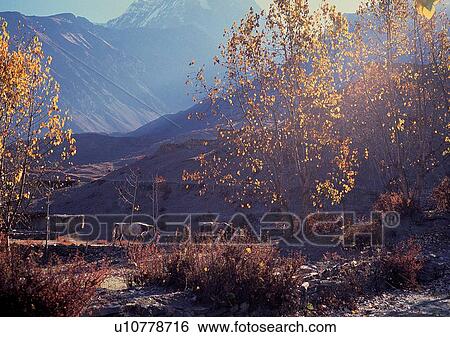 Stock Photograph - Day, Environment, Habitat, Landscape. Fotosearch