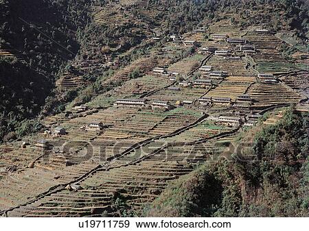 Day, Field, Farming, Environment, Agriculture View Large Photo Image Stock Photo - Day, Field, Farming, Environment, Agriculture. Fotosearch