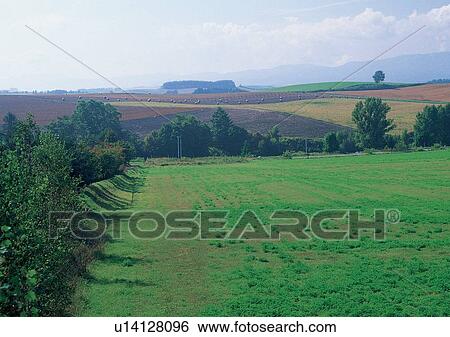 Stock Photograph - Day, Field, Farming, Environment, Agriculture. Fotosearch