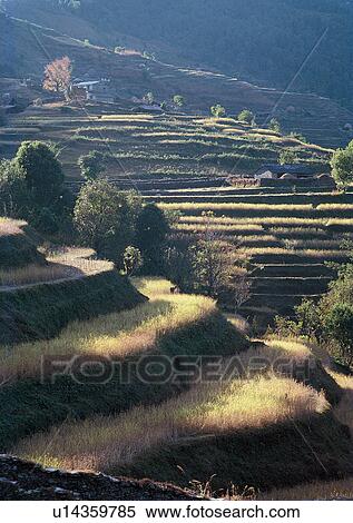 Day, Grass, Field, Environment, Agriculture View Large Photo Image Stock Photography - Day, Grass, Field, Environment, Agriculture. Fotosearch