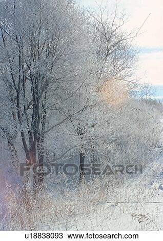 Stock Image - Background, Day, Outdoor. Fotosearch