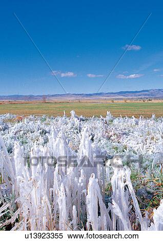 Stock Photography - Background, Day, Outdoor. Fotosearch