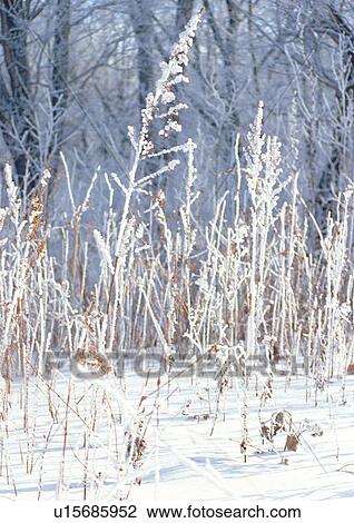 Stock Image - Background, Weather. Fotosearch