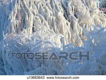 Close-Up, Day, Full Frame View Large Photo Image Stock Image - Close-Up, Day, Full Frame. Fotosearch