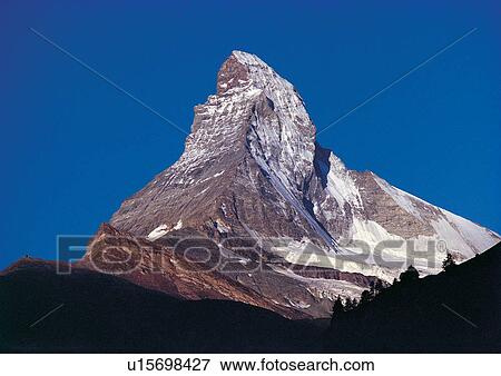 Stock Photo - Close-Up, Day, Outdoor. Fotosearch