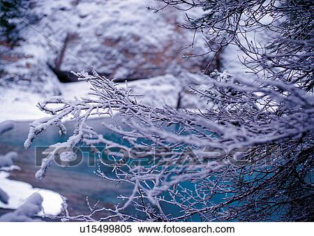 Stock Photography - Day, Differential Focus, Outdoor. Fotosearch