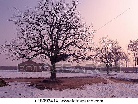 Picture - Day, Outdoor. Fotosearch