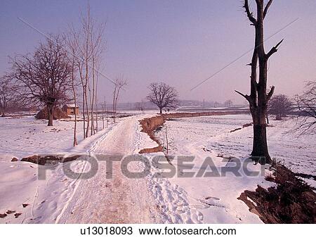 Stock Image - Day, Outdoor. Fotosearch