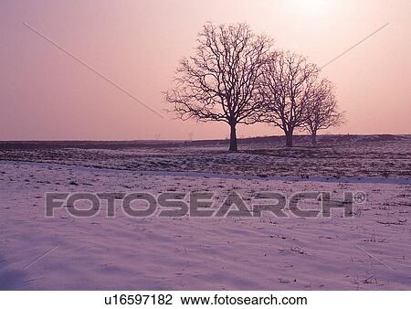 Day, Outdoor View Large Photo Image Stock Image - Day, Outdoor. Fotosearch