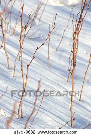 Day, Outdoor View Large Photo Image Stock Image - Day, Outdoor. Fotosearch