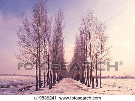 Day, Outdoor View Large Photo Image Stock Image - Day, Outdoor. Fotosearch