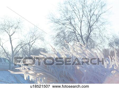 Stock Photo - Day, Outdoor. Fotosearch