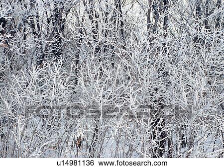 Day, Outdoor, Winter, Weather View Large Photo Image Stock Photograph - Day, Outdoor, Winter, Weather. Fotosearch