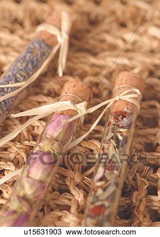 Close-Up, Day, Indoor, Part Of View Large Photo Image Stock Image - Close-Up, Day, Indoor, Part Of. Fotosearch