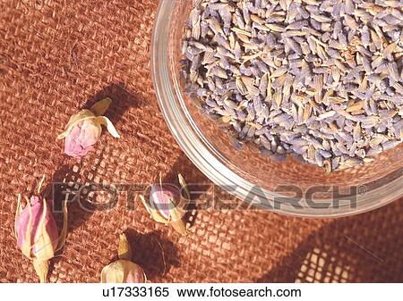Stock Photography - Day, Group Of Objects, Outdoor. Fotosearch