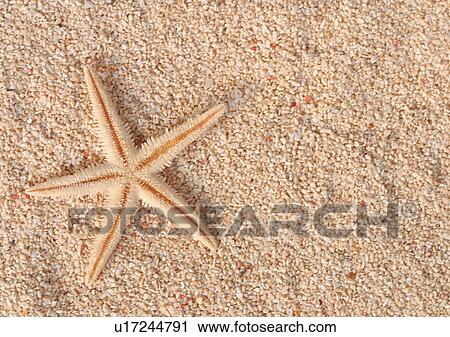 Stock Image - Day, One Object. Fotosearch
