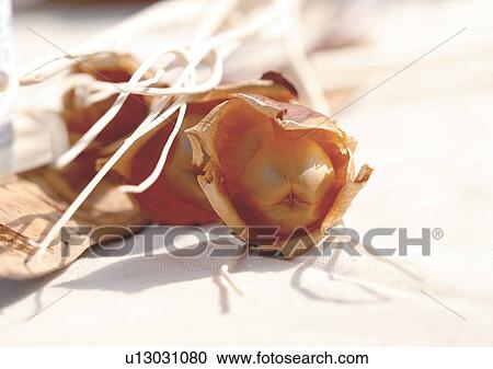 Day, Outdoor View Large Photo Image Stock Image - Day, Outdoor. Fotosearch