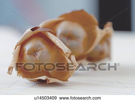 Stock Photo - Day, Outdoor. Fotosearch