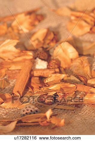Stock Photograph - Day, Outdoor. Fotosearch