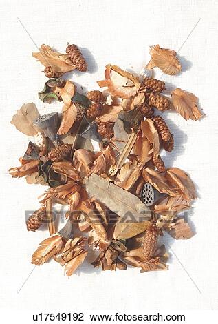 Stock Image - Group Of Objects, Indoor. Fotosearch