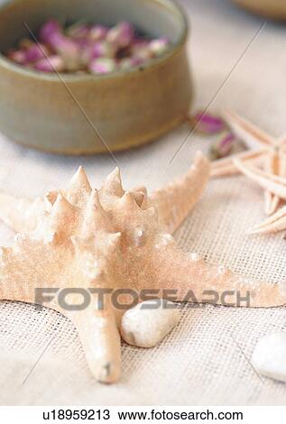 Group Of Objects, Part Of View Large Photo Image Stock Image - Group Of Objects, Part Of. Fotosearch