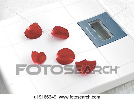 Indoor, Natural View Large Photo Image Stock Photo - Indoor, Natural. Fotosearch