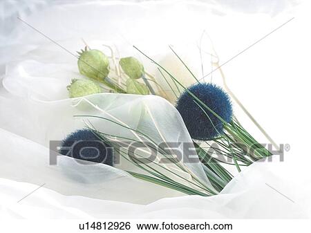 Stock Photograph - Indoor, Part Of. Fotosearch