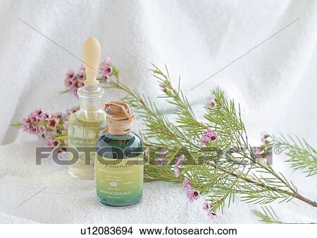 Indoor, Three Objects View Large Photo Image Picture - Indoor, Three Objects. Fotosearch