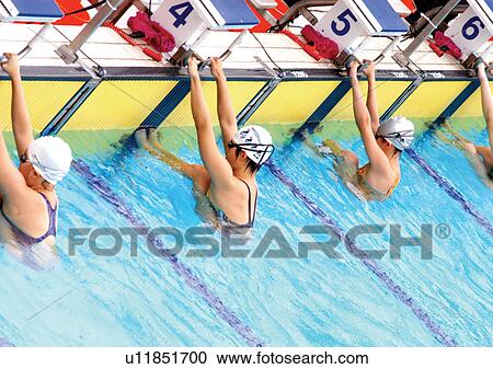 backstroke, challenge, blue, adults View Large Photo Image Stock Image - backstroke, challenge, blue, adults. Fotosearch