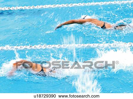 blue, championship, challenge, adults View Large Photo Image Stock Image - blue, championship, challenge, adults. Fotosearch