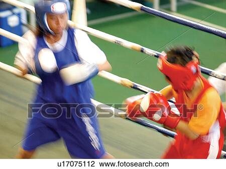 Stock Image - boxers, boxing, adults. Fotosearch