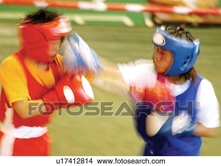 waist up, adults, boxers View Large Photo Image Picture - waist up, adults, boxers. Fotosearch