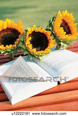 Outdoor, Plants View Large Photo Image Stock Image - Outdoor, Plants. Fotosearch